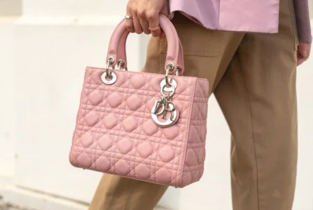 Cloth crossbody bag Dior Pink in Cloth  16480657