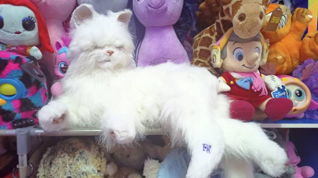 Hasbro lulu cat new arrivals