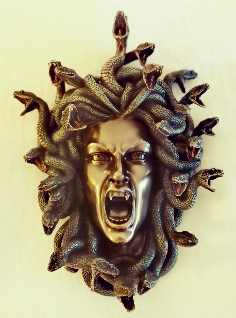 Medusa Head of Snakes, Hobbies & Toys, Stationary & Craft, Handmade ...
