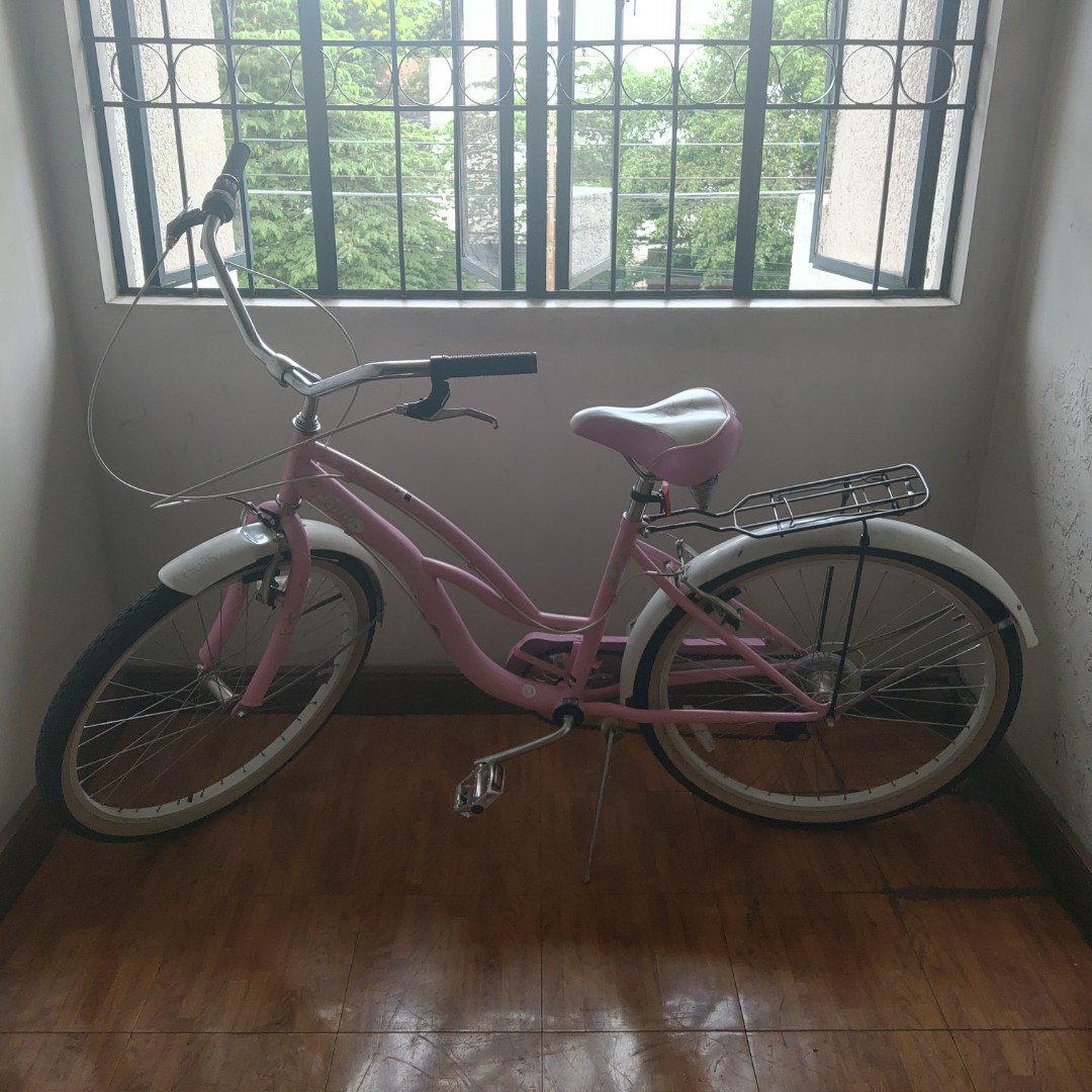 lulu schwinn bike pink
