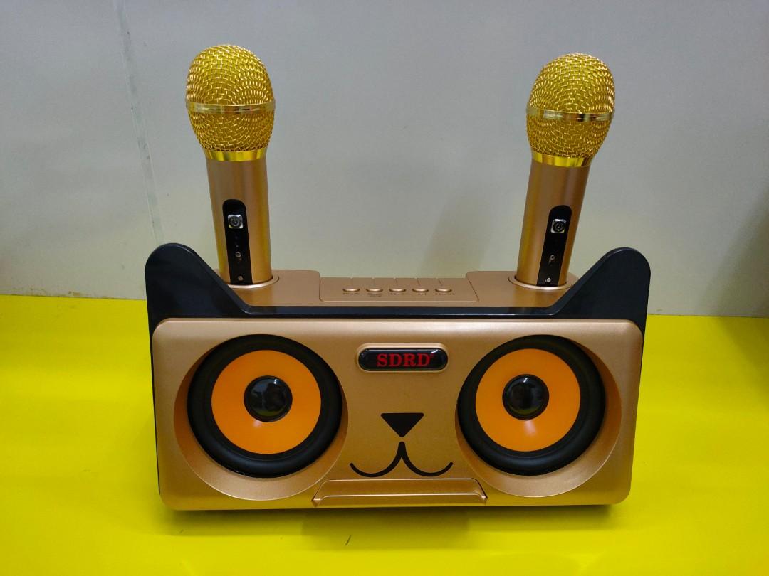 mic karaoke sdrd