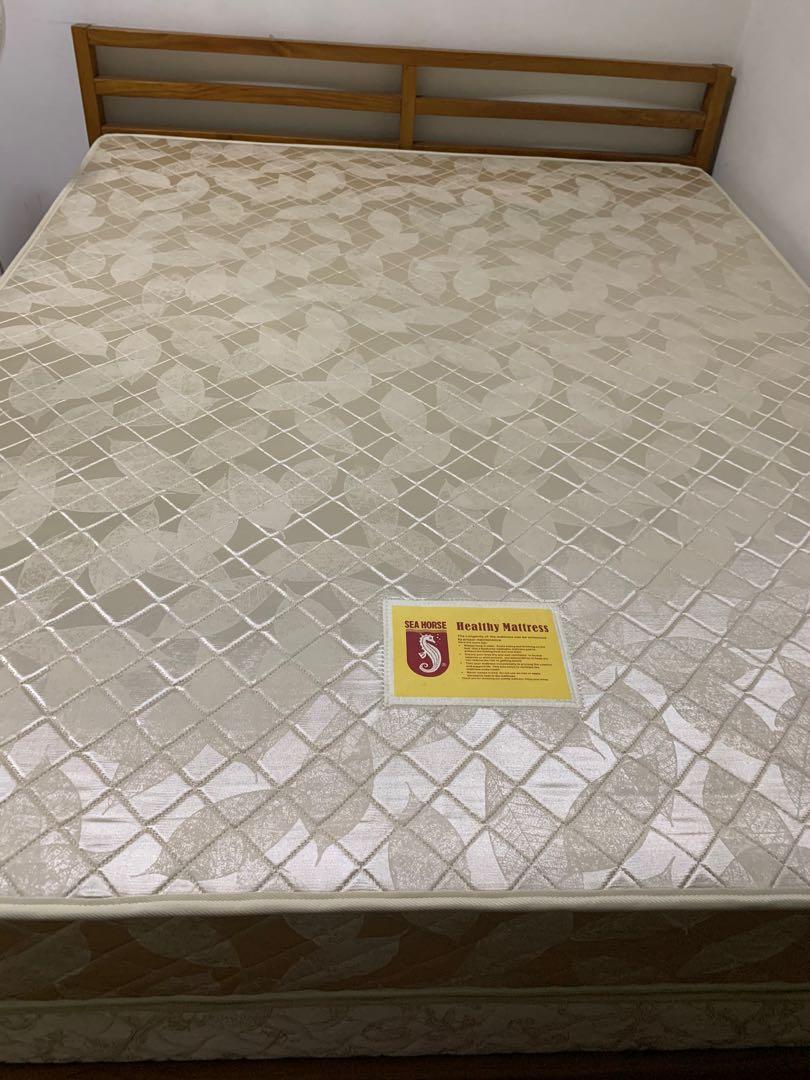 Seahorse outlet healthy mattress