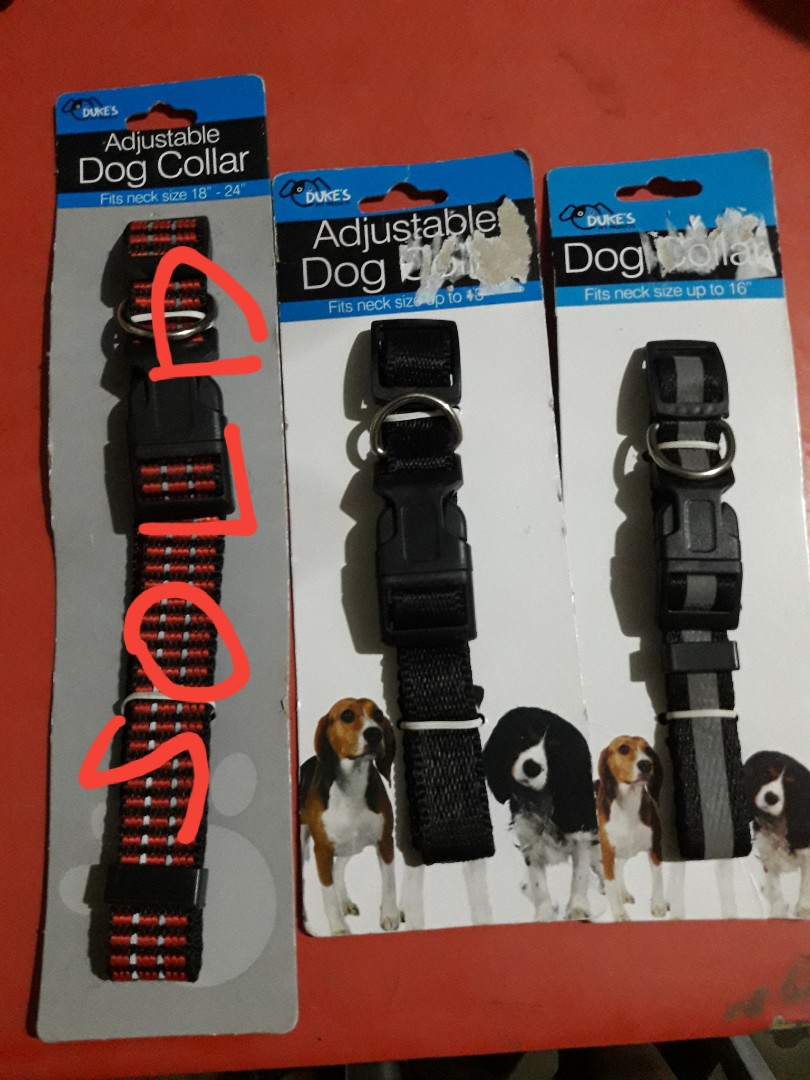 adjustable dog collar