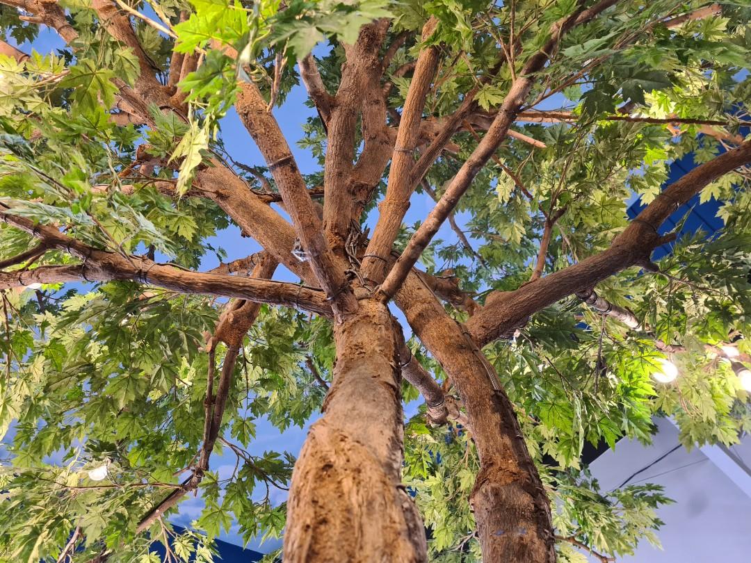 Artificial Maple Tree (Category: Artificial Plants & Flowers) located in San Juan City. Submitted by nicalii (Listing ID 1012473333, Image 2). Description: Artificial Green Maple Tree for good ambiance - good condition - very life-like - height: 5 meters - radius: 2.5 meters - trunk diameter: 6 inches - light bulbs included *Price includes installation fee and delivery.