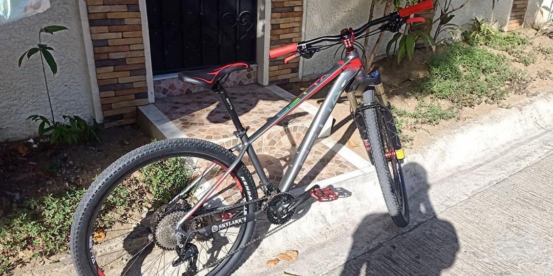 betta bike 29er