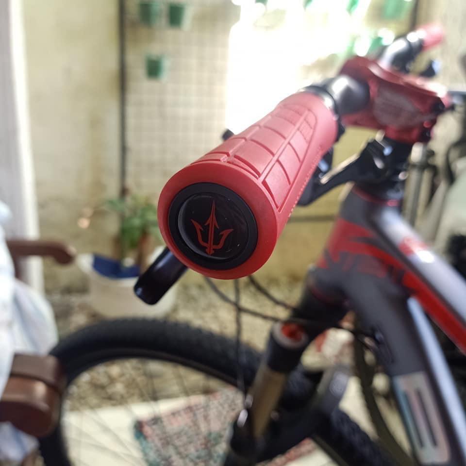 betta veil tail 29er