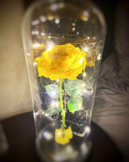 Eternal Preserved Yellow Rose with Led Light by Rossa