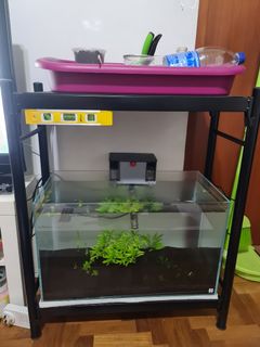 (Category: ) located in . Submitted by demarris (Listing ID 1012581770, Image 1). Description: .