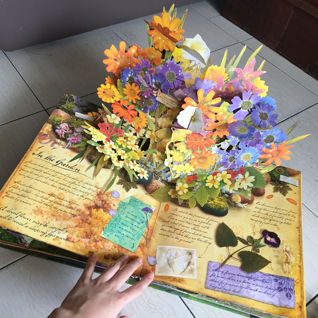 How to Find Flower Fairies Pop up book, Hobbies & Toys, Books