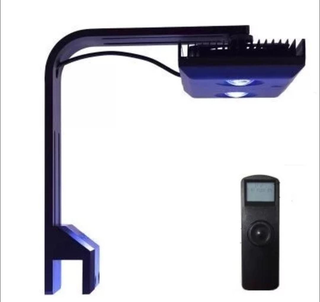 chihuahua camo clothes