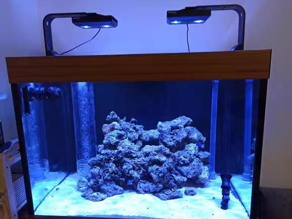 noopsyche k7 pro ii led light