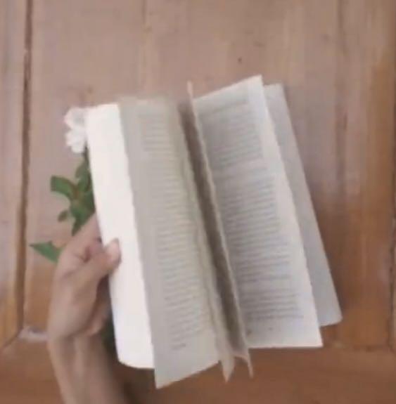 Novel Cantik itu Luka, Buku & Alat Tulis, Buku di Carousell