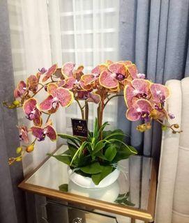 Orchid artificial