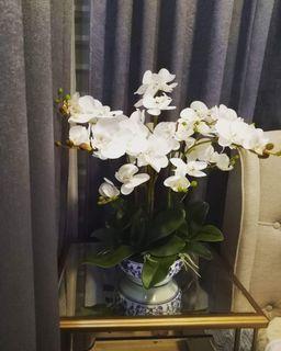 Orchid artificial