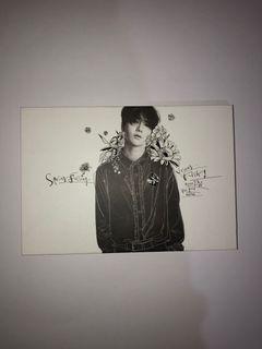 YESUNG SPRING FALLING WITH INCLUSIONS
