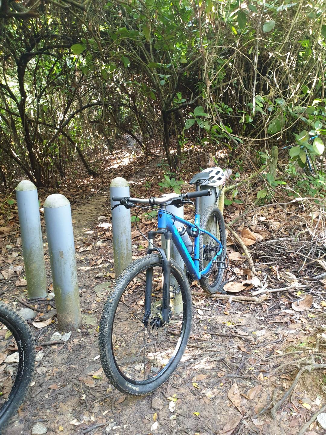 2019-2020 great condition 29er Trek 