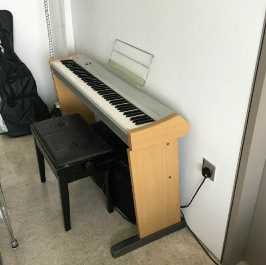 Casio Digital Piano PS20 (No Sound), Hobbies & Toys, Music & Media