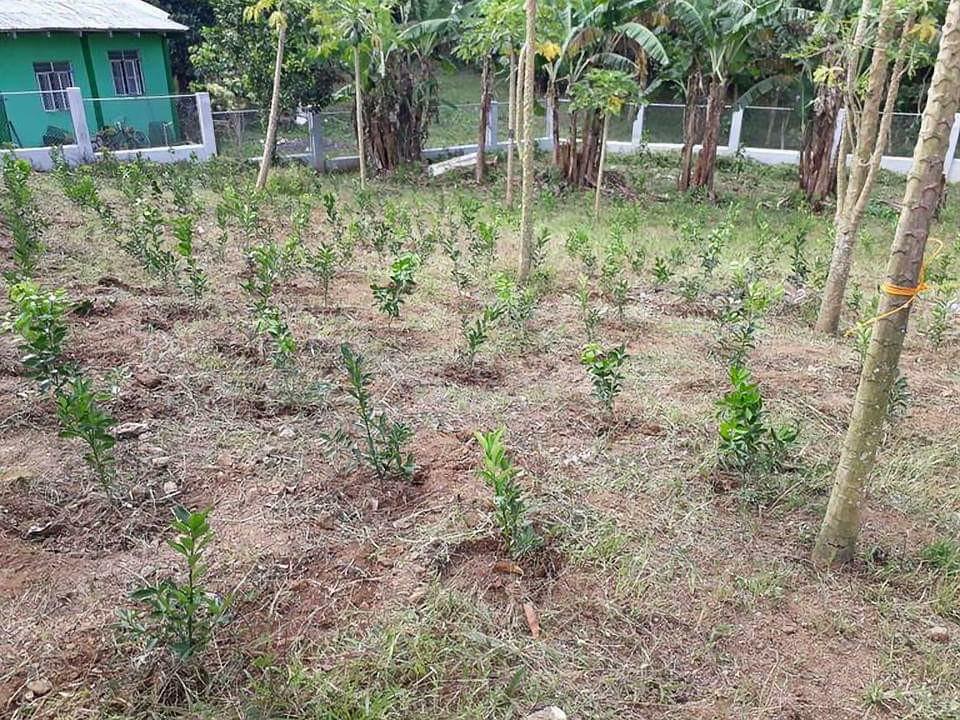 Farm Lot For Sale In Silang Cavite Property For Sale Lot On Carousell