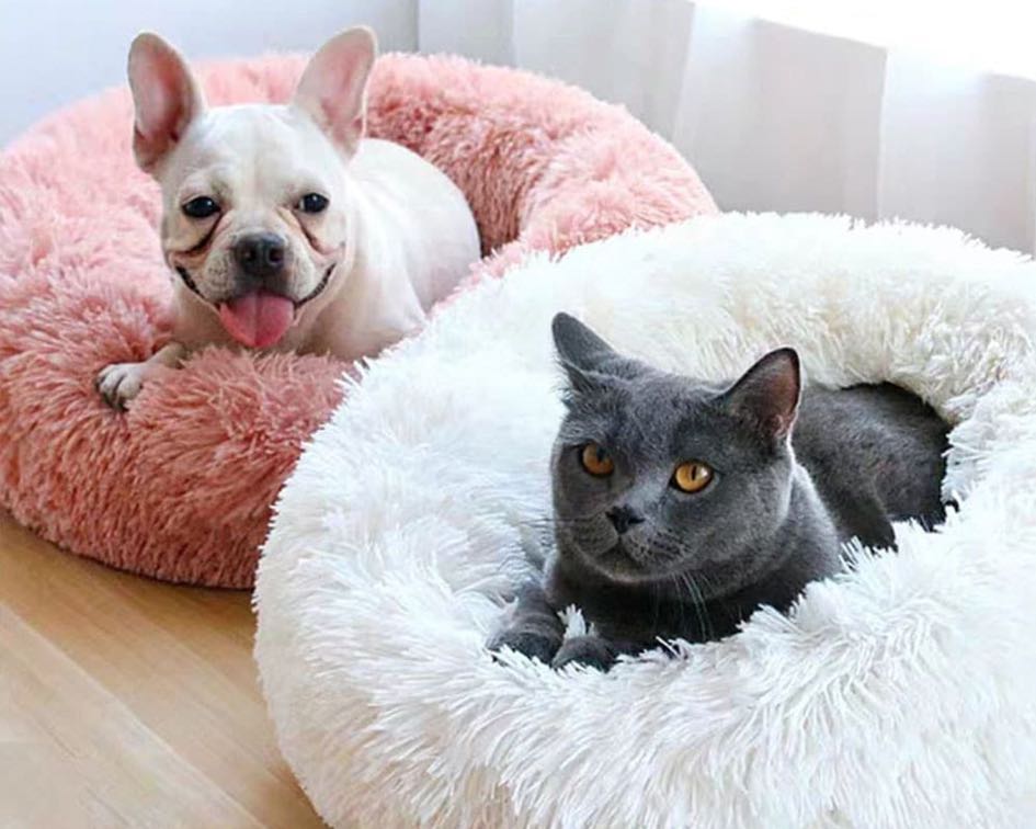 calming pet bed