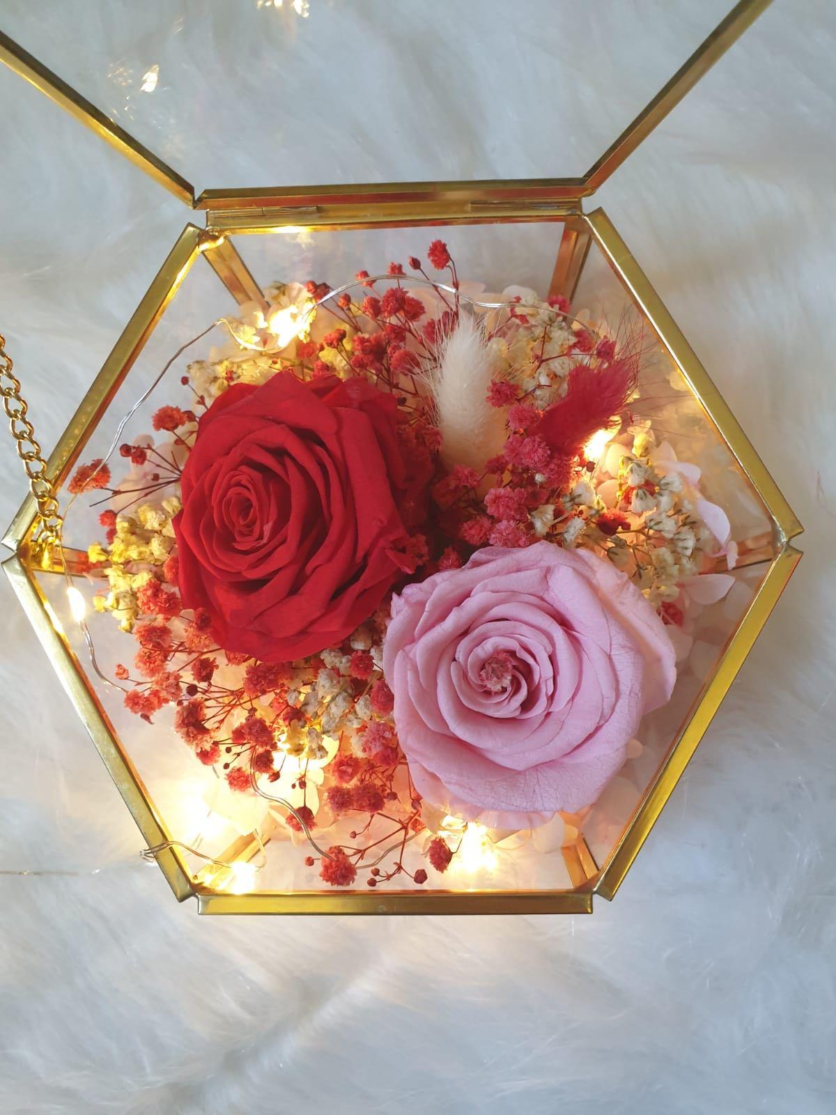 Preserved Roses in Glass Box/Terrarium ️Wedding /Anniversary/ Birthday