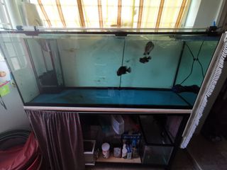 (Category: ) located in . Submitted by galeano (Listing ID 1012981220, Image 1). Description: .