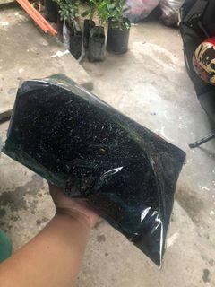Carbonized rice hull