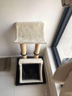 Cat Tree Pet Supplies Carousell Malaysia