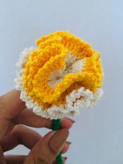 Crochet Carnation Flower