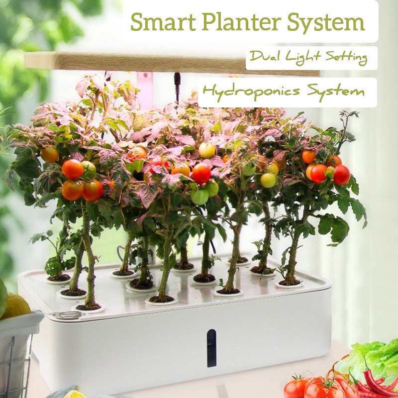 Smart Easy Hydroponics Vegetable Herb Planter System Gardening