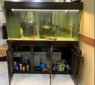 (Category: ) located in . Submitted by subie14 (Listing ID 1012960561, Image 1). Description: .
