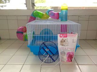 (Category: ) located in . Submitted by opencloset02 (Listing ID 1013025230, Image 1). Description: .
