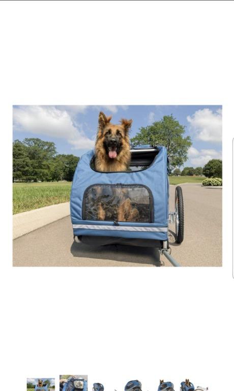 petsafe solvit houndabout