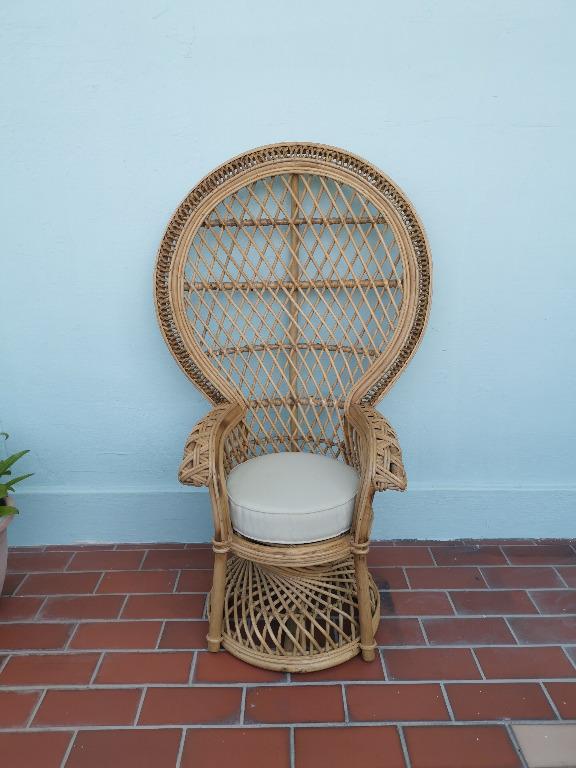 kids peacock chair