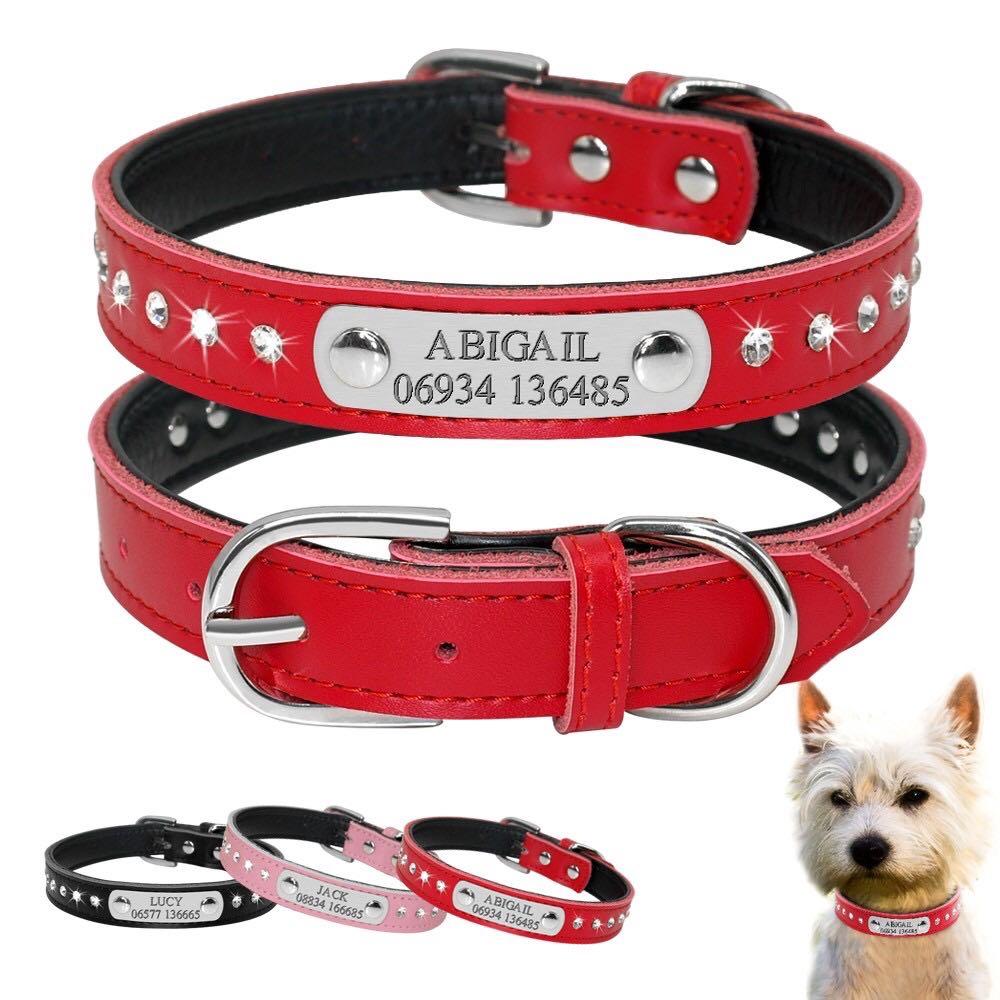 custom dog accessories