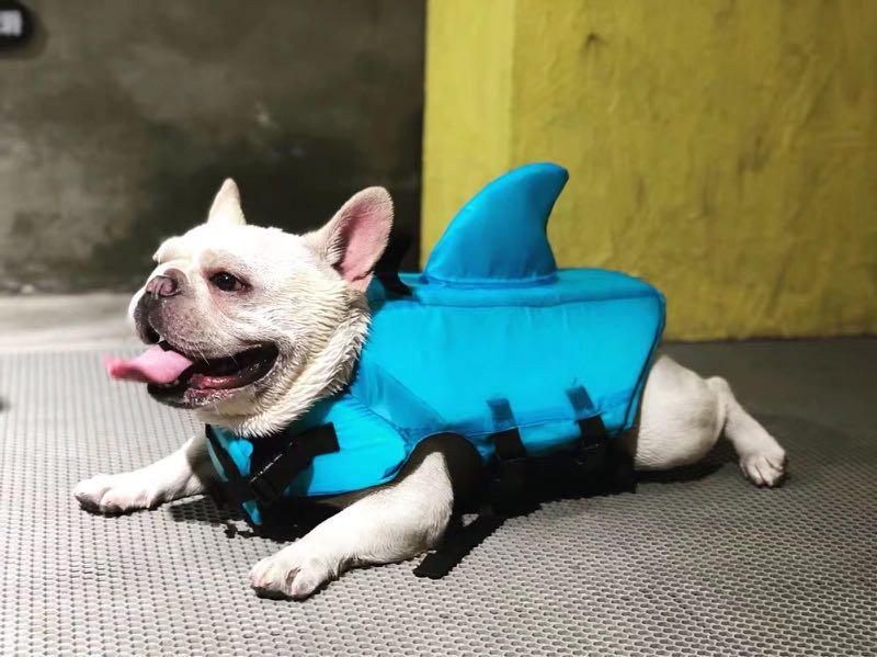 French bulldog life jacket shark new arrivals