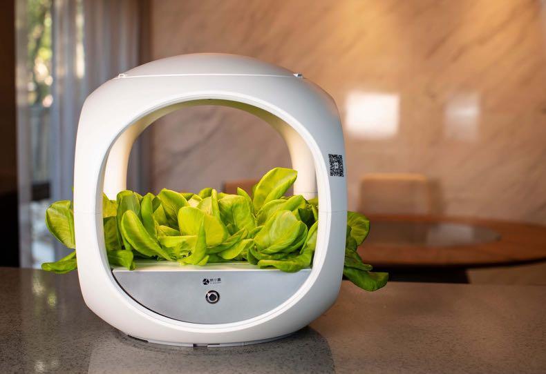 Smart Kitchen Countertop Hydroponic Herb And Veggie System Gardening Pots Planters On Carousell
