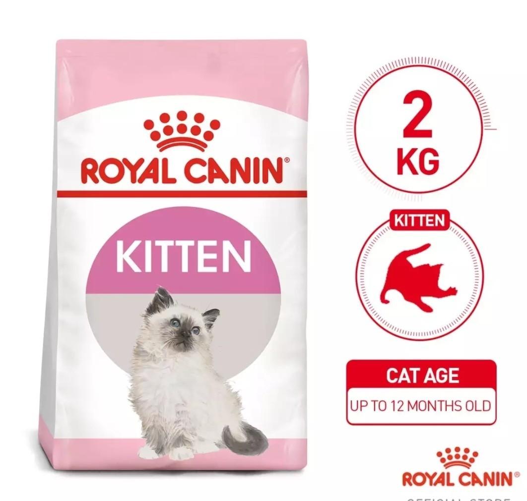 Adfordable Royal Canin Kittens Pets Supplies Pet Food On Carousell