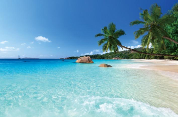 Beach Wallpaper Wall Sticker Decal Vinyl Diy Home Decor Furniture Home Decor Others On Carousell