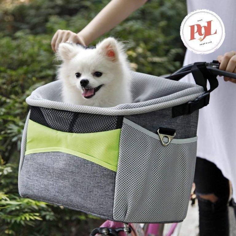 Cruiser bike with dog basket cheap