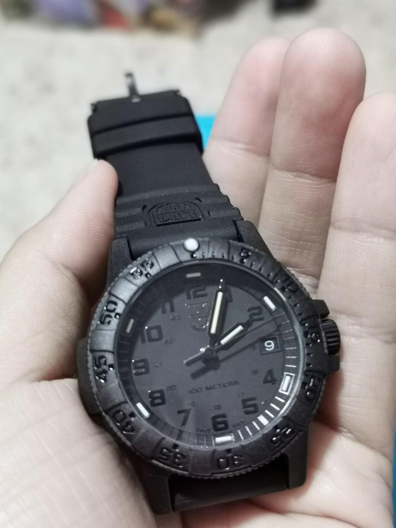 luminox seal watch