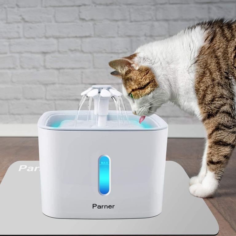 automatic cat fountain