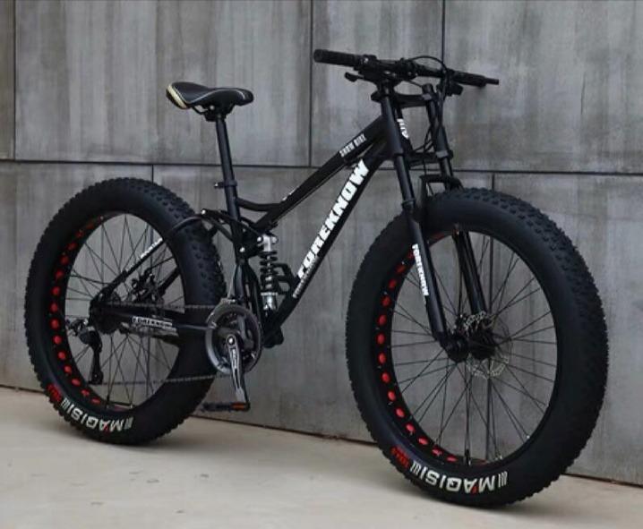 fat wheel bike