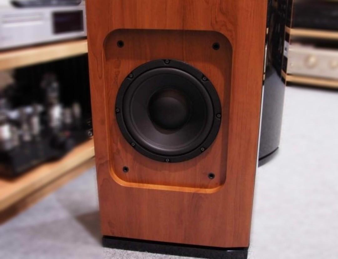 JAMO S606 Floorstanding Speaker, Audio, Soundbars, Speakers