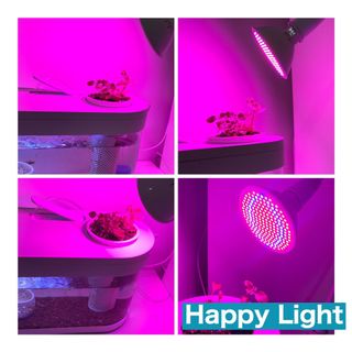 (Category: ) located in . Submitted by happygoby (Listing ID 1013243991, Image 1). Description: .