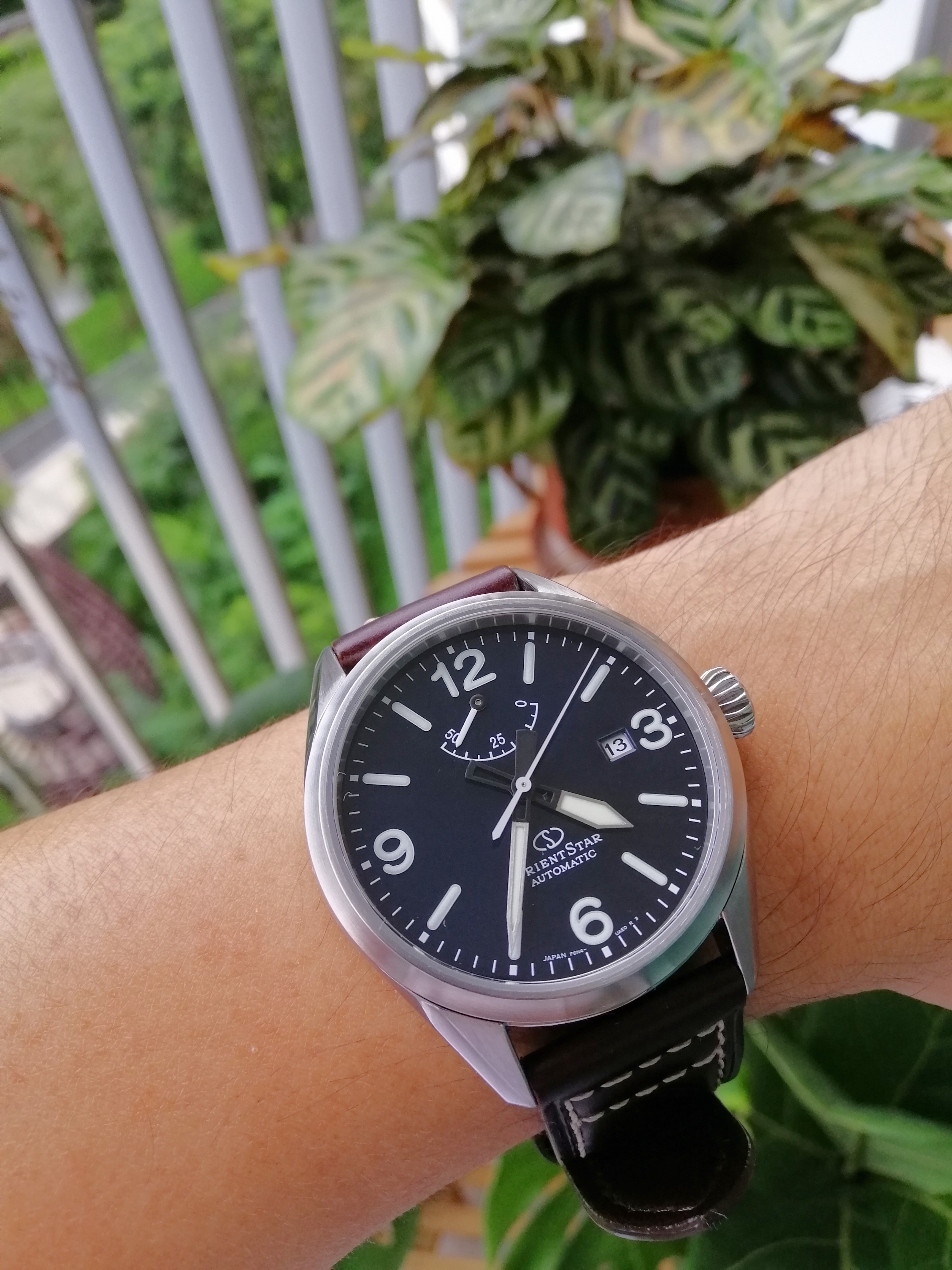 Orient star 2025 outdoor blue dial