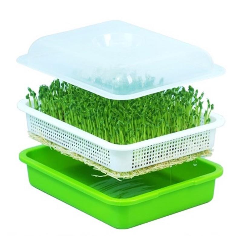 Microgreens sprouting tray, Seeds wheatgrass sprouts trays.home grow