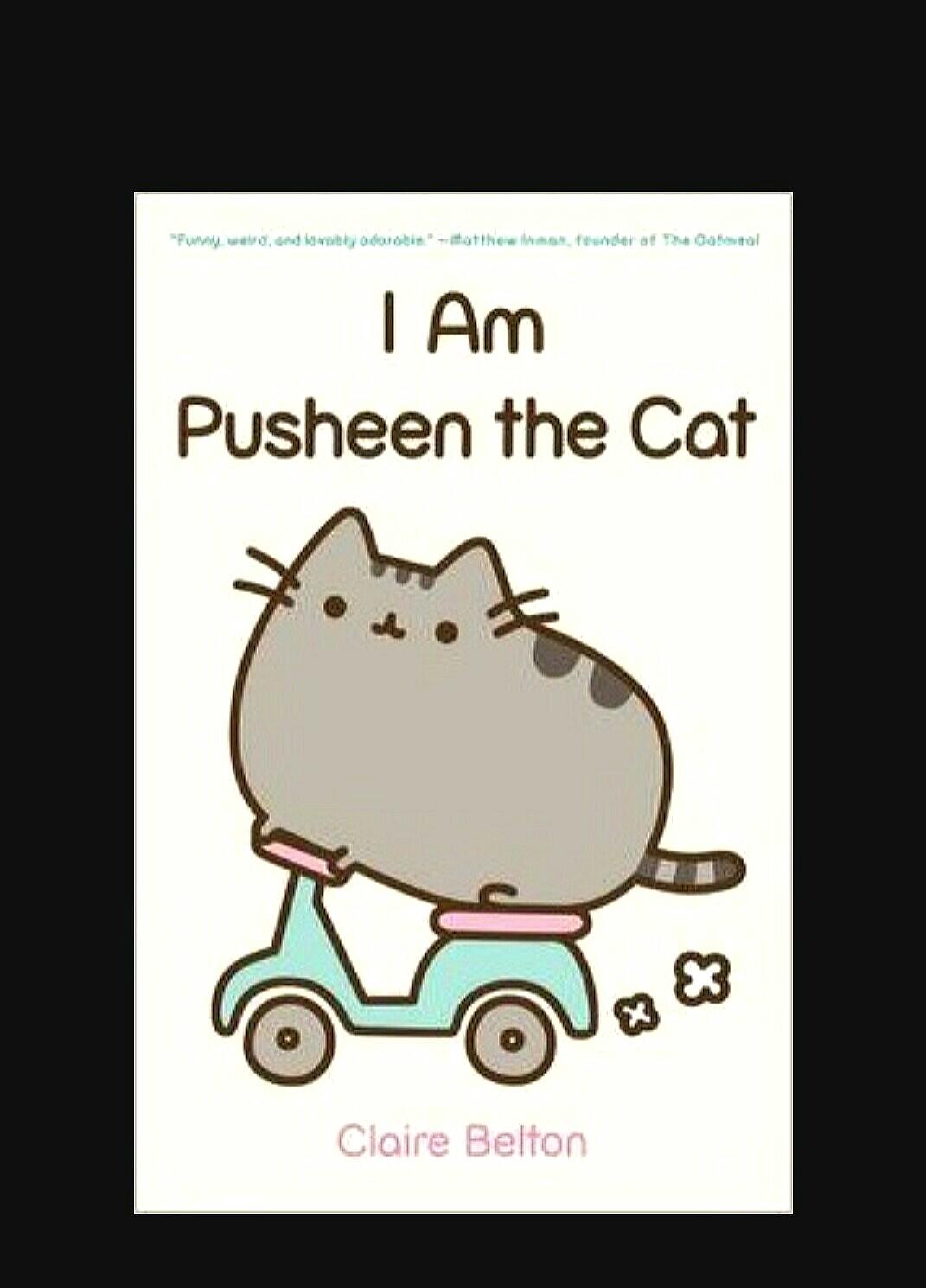 Pusheen The Cat Books Stationery Children S Books On Carousell