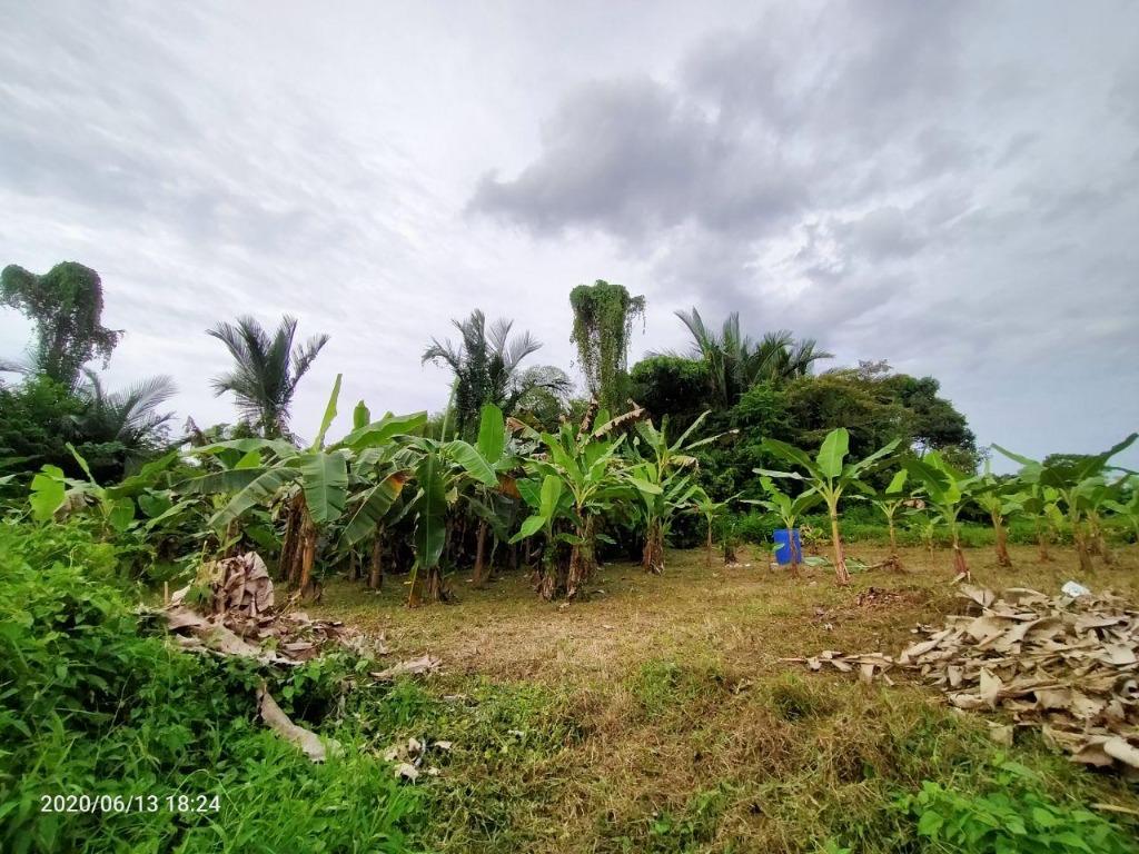 Tanah Lot Di Kg Banggol Kapas Kuala Terengganu Terengganu Property For Sale On Carousell