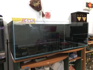 (Category: ) located in . Submitted by jimmyfishfish (Listing ID 1013631293, Image 1). Description: .