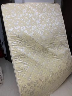 （分類：）位於 。 由 tidycatcc 提交（商品編號 1013468253，圖片 1）。簡介： 。